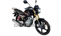 Мотоцикл SHOGUN 200