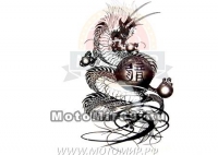 Татуировка временная (набор) 312 (легко наносится (30 секунд) Черно-белый китайский дракон с шаром